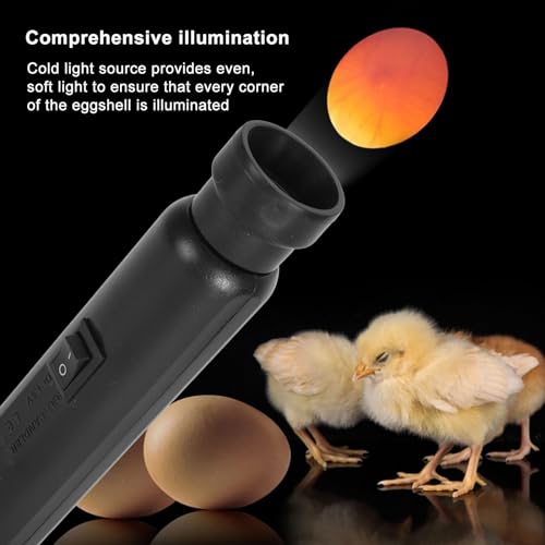 Bright Cool LED Light Egg Candler Tester Candler Candling Lamp, Egg Candler LED Light for Monitoring Eggs Development with 2 Soft Rubber (Battery Box)