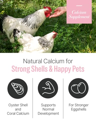 NICE WITCH'S Oyster Shell Flour 1.1 lb (500 g) – Finely Ground Calcium for Chickens, Ducks, Birds, Reptiles, Amphibians & More – Natural Source of Calcium | Korean Oyster Shell Powder/굴껍질 가루