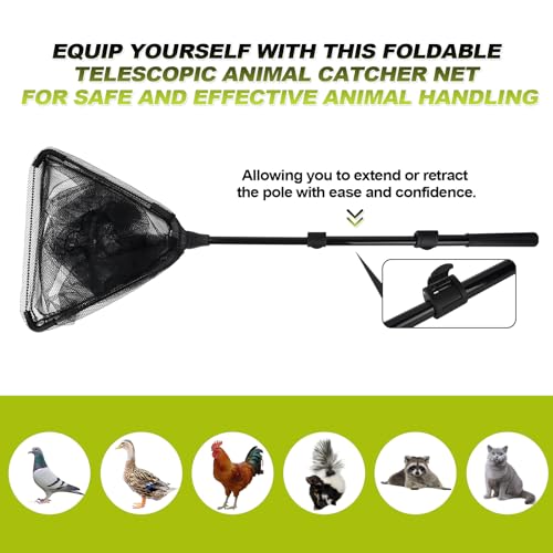Chicken Catch Net, Animal Catching Capture Net Farm Trapping Pole | for Bird Cat Chicken Bat Duck Goose Raccoon Trap - Withstand 15lb