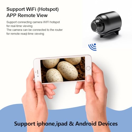 Mini WiFi Monitoring Camera for Reptile Habitats, Hatchling Care, Terrariums and Incubation Enclosures – Compact Design with Wireless WiFi Connection and Motion Alerts