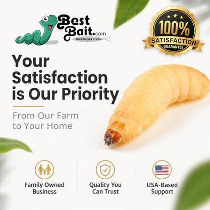 100 Count Premium Live Waxworms for Reptiles, Birds, Amphibians & Fishing Bait - High-Protein, Calcium-Rich Soft-Bodied Larvae - Ideal for Bearded Dragons, Geckos, Chickens & Trout