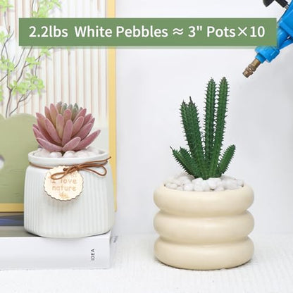 2.2lb White Polished Pebbles for Plants, 3/8 inch Decorative Rocks | Small Stones for Potted Planters, succulents, Vases, Landscaping Drainage and Outdoor Gardening - size: 2.2lb, style: White