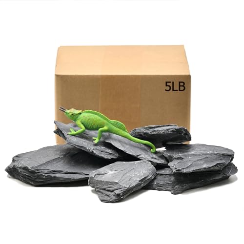 Aquarium Rock Natural Slate Rocks 2 to 4 inch Aquariums Stone for Aquascaping,Terrariums,Reptile Enclosures,Paludariums, and Gardens-5lb - size: 5lb(2-6'')