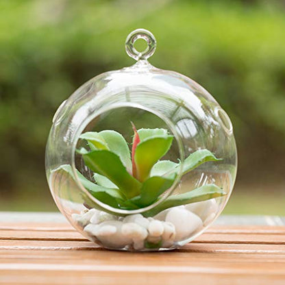 WGV Hanging Terrarium Globe, Width 5", Height 6", DIY Air Succulent Planter, Clear Glass Vase Orb with Flat Bottom, Candle Holder for Windowsill Outdoor Garden Decor, 1 Piece - size: 5" Flat Bottom