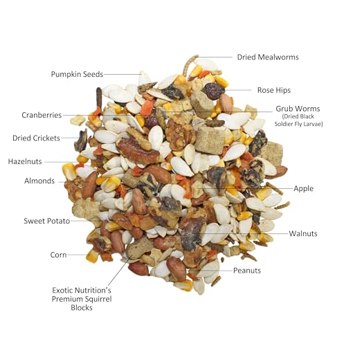 Exotic Nutrition Squirrel Complete (4 lb.) - Healthy Natural Food for Squirrels - Ground, Grey, and Flying Squirrels - size: 4 Pound (Pack of 1)