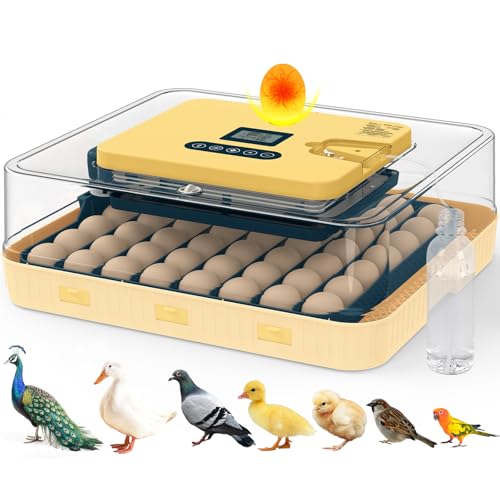 Incubators for Hatching Eggs, 56 Eggs Incubator with Egg Candler, Auto Egg Turner, Temp & Humidity Control, Hatch Day,360° Viewing for Chicken,Duck,Quail Eggs,Ideal for Farm,School and Lab,Blue&Yellow - size: 56 Eggs