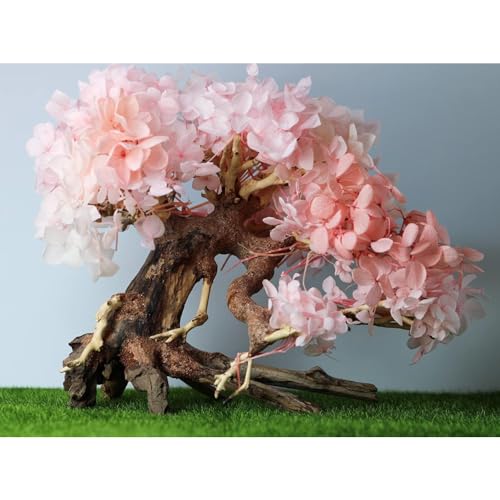 Bonsai Driftwood Aquarium Tree (8in H x 6in L), Handcrafted Fish Tank Decoration | Easy to Install Driftwood Bonsai for Fish Tank | Decor Aquascape Wood (Bonsai Tree)