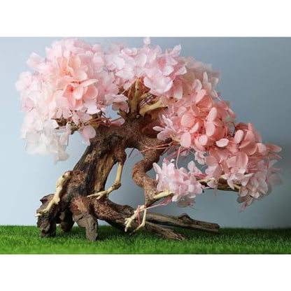 Bonsai Driftwood Aquarium Tree (8in H x 6in L), Handcrafted Fish Tank Decoration | Easy to Install Driftwood Bonsai for Fish Tank | Decor Aquascape Wood (Bonsai Tree)