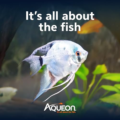 Aqueon Cichlid Slow Sinking Fish Food Pellets, Medium Size, 25 Ounce (Pack of 6) - size: 1.56 Pound (Pack of 6), style: Medium 25 Ounces