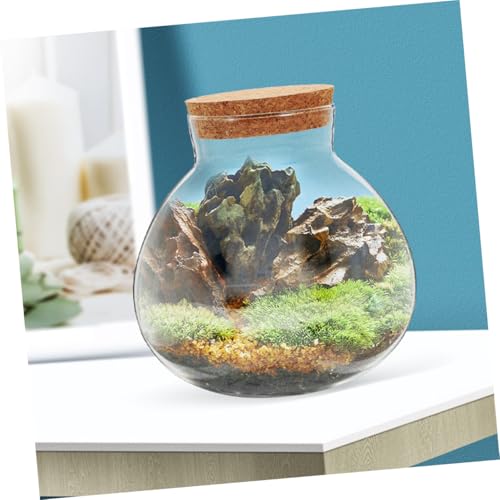 KALLORY Glass Ecological Bottle Terrarium with Cork Stopper, 10X11Cm Micro Landscape Moss Plant Container for Indoor Gardening and Decorative Ecosystem