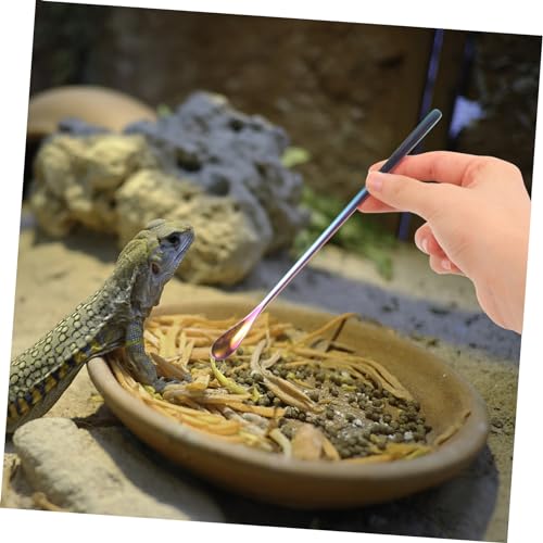 Toddmomy 2Pcs Stainless Steel Lizard Feeding Spoon Long Handle PET Food Scoop for Reptiles and Small Animals Sturdy and Easy to Use Feeding Tool