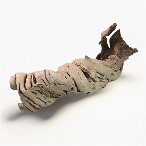 Koyal Wholesale 24" Hollow Grapewood Branch Decor 1Pcs Grapewood Centerpiece Vase Air Plants Sand Blasted Grapevine Wood Untreated Terrarium Wood Driftwood Decor - size: 24 Inches