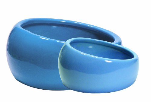 Living World Ergonomic Food Dish, for Small Animals, Blue, Small, 4.22oz, 61682A1 - size: Small