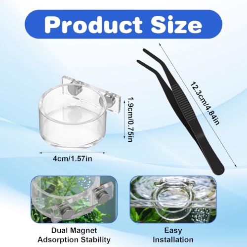 Jumping Spider Feeding Dish Set, Water Bowl with Tweezer, Reptile Feeding Dish Tongs, Water Dispenser Enclosure Jumping Spider Accessories