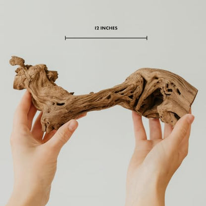 Koyal Wholesale 12" Sandblasted Grapevine Wood for Hamsters, Reptiles Terrarium, Exotic Untreated Grapewood Branch for Decoration Home Wedding DIY - size: 12" Grapevine