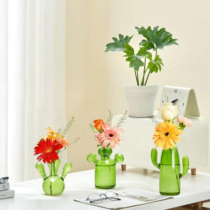 XXXFLOWER Cactus Plant Propagation Station 3 Cactus Vase Terrarium Jars | Desk Plant Cuttings Plant Holders Unique Glass Flower Vase for Hydroponics Plants for Plant Lovers Home Garden Decor - size: 3PCS Cactus Vase