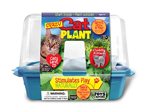 Toys by Nature Miniature Worlds Organic Catnip Windowsill Terrarium Starter Kit, Complete Supplies and Easy-to-Grow Indoor Plants Linen Sachet and Seeds Included! (Crazy Cat Plant) - style: Crazy Cat Plant