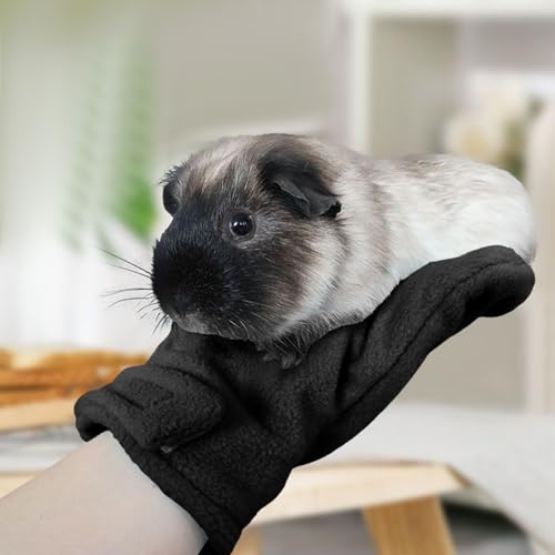 Bite Proof Gloves Quick-Dry Grooming Pet Protection Mittens | Small Animal Handling Protection Glove for Bunny Sugar Glider Bird Parrot Hedgehog Squirrel Reptile Snake Lizard Grooming - color: Black