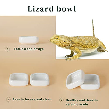 Ceramic Reptile Food Bowls, Reptile Water Food Dish (White, Medium-1Pack)