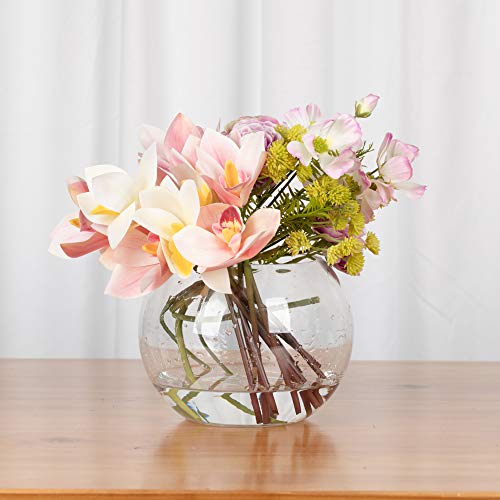 WGVI Bowl Glass Vase, Diameter 8", Height 6", Open Width 5", (Multiple Sizes Choices) Clear Bubble Planter Terrarium Fish Bowl for Wedding Event Home Decor, 1 Piece (VBW0008A) - size: 8"Dx6"H 1 Piece