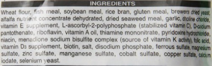 Hikari 2-Ounce Cichlid Staple Floating Pellets for Pets, Medium - color: Black, size: 1 Ounce (Pack of 1)