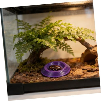 SOLUSTRE 12pcs Plastic Reptile Feeding Bowls Nontip Base, Portable Small Food Dishes for Lizards and Bearded Dragons, for Transporting and Outdoor Activities