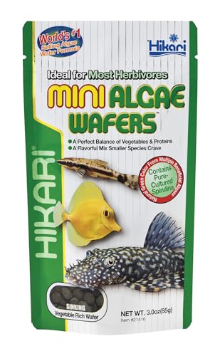 Hikari Tropical Mini Algae Wafers Fish Food, 3.0 oz (85g) - size: 3 Ounce (Pack of 1)