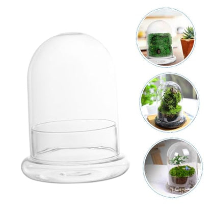 POPETPOP Glass Ecosystem Bottle Air Plant Holder DIY Bell Jar Terrarium Kit Decorative Plant Pot Drainage