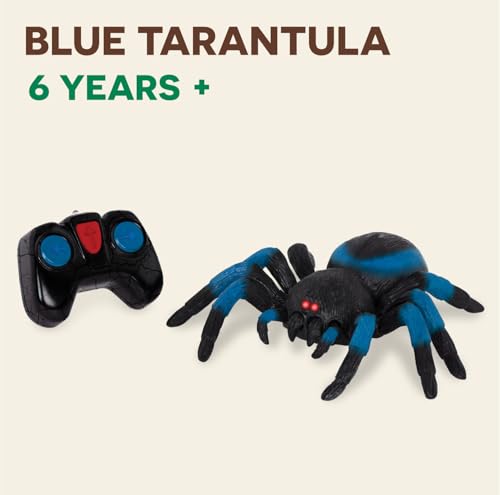 Terra by Battat Remote Control Spider, LED Eyes, 360 Spin, Blue, Animals | RC tarantula toy with moving legs, LED eyes, blue stripes, and 1 remote control for creature-inspired play, Animals, 6+ Years - style: Spider (Blue)