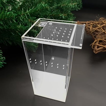 Small Acrylic Reptile Terrarium Kit, Acrylic Tank with Lid 3x3x6 Inch Clear Habitat Enclosure for Spider,Tarantula, Gecko, Hermit Crab, Frog and Insects Easy Assembly One-piece Leak-Proof - size: 5.9" x 2.95" x 2.95"