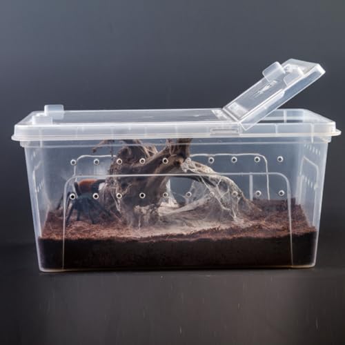HOMSFOU Acrylic Reptile Feeding Box for Small Pets with High Surface Hardness and Safe Design, Climbing Pet Container Suitable for Living Foods and Transporting Animals Random Color