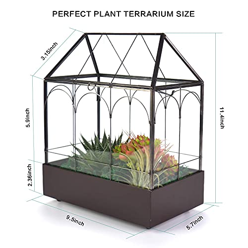 Large Tall Glass Plant Terrarium – House Succulent Terrarium Kit with Lip and Tray Glass Greenhouse Terrarium for Plant 9.5”X5.7”X11.4” - color: Black 3