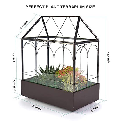 Large Tall Glass Plant Terrarium – House Succulent Terrarium Kit with Lip and Tray Glass Greenhouse Terrarium for Plant 9.5”X5.7”X11.4” - color: Black 3