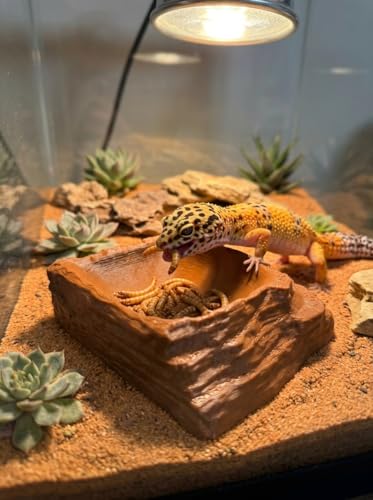 ReptiRock 3D Printed Reptile Worm Dish - Escape-Proof Worms and Mealworm Feeder Bowl - Eco-Friendly PLA Rock Texture Food Water Dish for Bearded Dragon, Gecko, Lizard, Brown