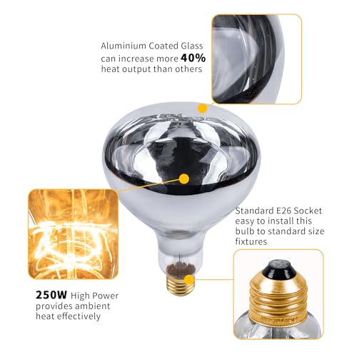 250 Watt Heat Lamp Bulbs, Clear Incandescent Heating Outdoor Light Bulb for Bathroom, Chickens, Chicks, Ceiling, Reptile, Food, Plants, Medium E26 Base - 2 Pack - size: 2 Pack