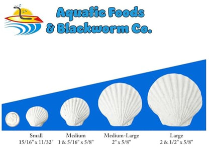 Calcium Feeders Extra Thick Large Shells... 50ct Large Jar | Extra Thick Shells, For Shrimp, Snails, Crabs, Crayfish, Hermit Crabs, For Tropical Fish - size: 50 Count (Pack of 1)