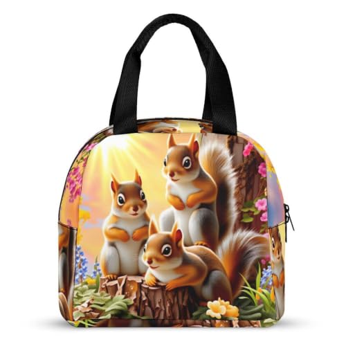 Sunny Garden Squirrel Lunch Bag for Women Men | Insulated Lunch Box Leakproof Food Meal Containers Reusable Foldable 6L Capacity Lunch Tote Bags for Work Picnic Travel - color: style-19