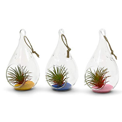 WGV Glass Hanging Plant Terrarium Bulk, Width 3", Height 5.5", Teardrop DIY Air Succulent Planter Clear Tea Light Votive Candle Holder, Wedding Event Office Home Outdoor Decor, 3 Pieces