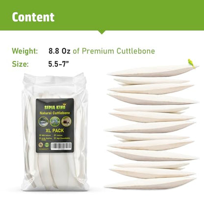 Sepia King - Large - Cuttlebone for Birds, Tortoises, Snails, Reptiles 5.5-7" - 8.8oz - 100% Natural Calcium Supplement, Food and Toys for Parakeets, Turtles