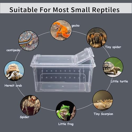 PINVNBY Reptile Feeding Box 8 PCS Snake Breeding Box Reptile Transport Container 7.48"x4.92"x2.95" Portable Habitat Plastic Cricket Cage for Lizard Spider Scorpion Gecko Tortoise Treefrog
