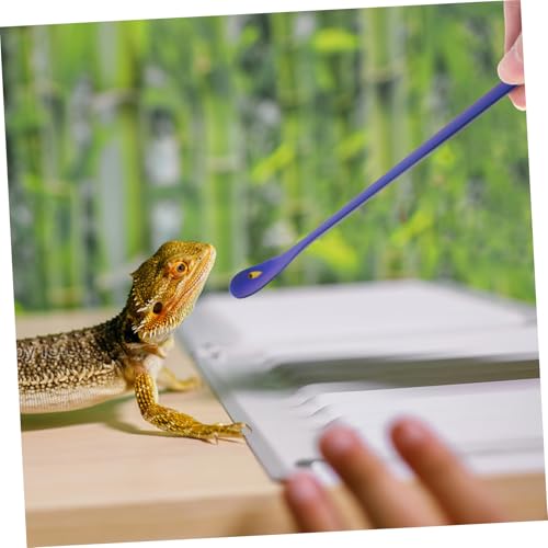 2pcs Reptile Food Spoon Stainless Steel Small Reptile Water Feeder Tortoise Food Scoop - color: Blue