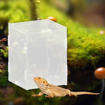 Reptile Breeding Box Terrarium Habitat Tank Transparent Acrylic Enclosure with Ventilation Holes for Snakes Frogs Turtles Geckos Small Animals- 8x7x10cm