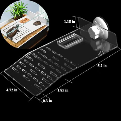 Turtle Basking Platform and Training Skateboard Set for Aquatic Turtles with Suction Cups Skateboard, Tortoise Tank Habitat Accessories, Reptile Animal Essentials (Transparent)