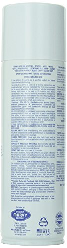 Spray Disinfectant, 16.5 oz – Hospital-Grade Disinfectant & Deodorizer Spray, Kills Germs, Bacteria, Viruses, Fungus & Mildew – For Salons, Barbershops, Gyms & Homes