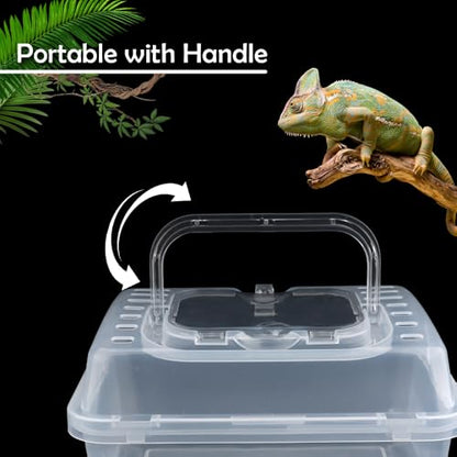 1 Pack Clear Portable Insect Reptile Terrarium Tank with Handle for Spider Snail Turtle Hermit Crab Gecko Insects Small Reptiles (with 10 Pack Small Plastic Reptile Carrier)