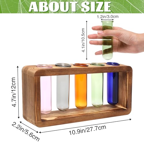 Glass Plant Propagation Station with 5 Test Tubes Colorful Planter Vase | Birthday Gifts for Women in Wooden Stand - color: Color-01