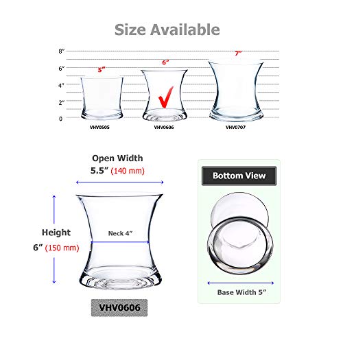 WGV Unique Bouquet Vase, 5.5" W, 6" H, Clear Short Hurricane Concaved Neiman Glass Floral Container, Home Wedding Event Decor, 1 Piece (VHV0606) - size: Concaved 6"H