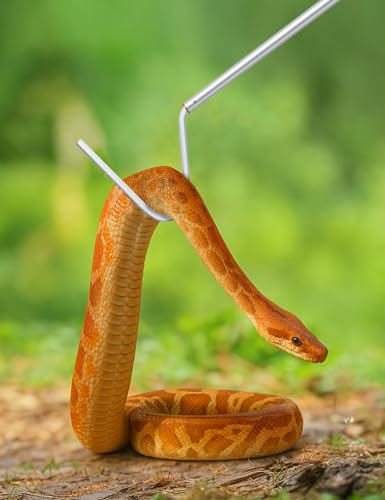 Snake Hook 40" – Telescopic Stainless Steel Reptile Grabber Stick for Safely Handling Snakes and Lizards, Lightweight & Portable Catcher Tool