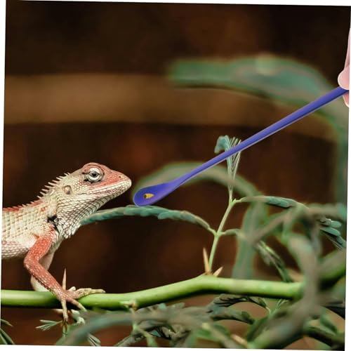 2pcs Sturdy Reptile Spoon Reptile Feeding Tool Dish Gecko Feeding Spoon Pet Supply - color: Blue