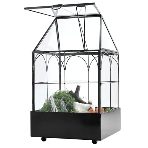 Glass Terrarium with Metal Tray, Glass Greenhouse Terrarium Kit | for Succulents, Cacti, Snails, Spiders, and Miniature Reptiles, Black (Small-5.9" L x 5.9" W x 10.2" H) - size: Small-5.9"L x 5.9"W x 10.2"H